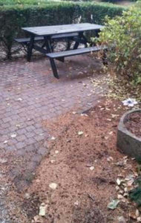 Appartement De Groote Peel Nederweert 外观 照片
